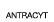  Antracyt 