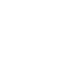 Zij elementen 