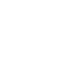 Pigato Plus