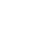 Ribolla