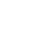 Zij elementen 