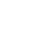 Pinela Deluxe Plus