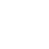 Pinela Deluxe Plus