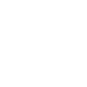 Pigato Plus
